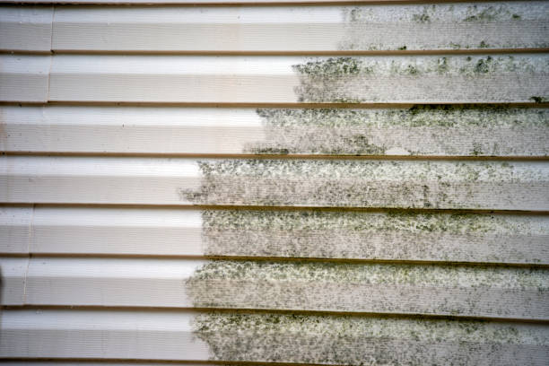Best Shed Removal  in Rden, WA